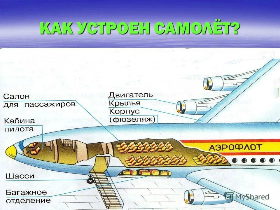 Как устроен мир 1 класс