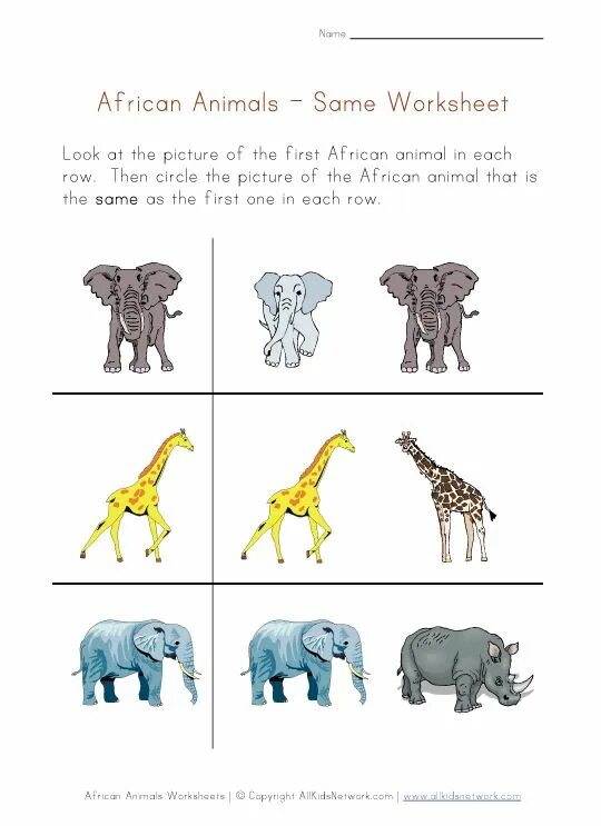 Animals same. Animals Worksheets. African animals Worksheets. Задания African animal. Africa Worksheets.