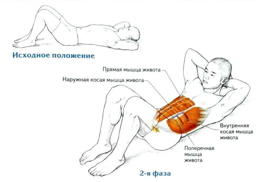 Поперечная мышца живота как накачать. Укрепление поперечной мышцы живота упражнения. Поперечная мышца живота упражнения. Поперечная мышца живота упражнения для мужчин. Упражнения для укрепления поперечной мышцы живота у женщин.