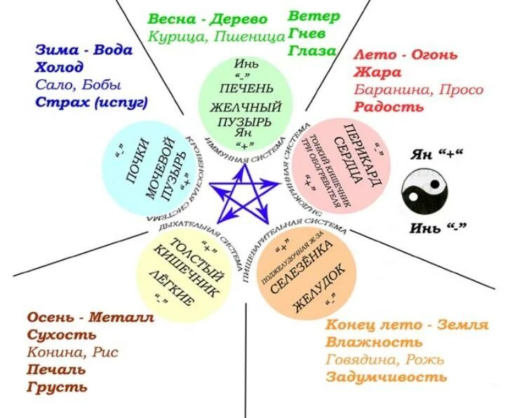 5 Элементов стихий фен шуй. Питание по китайской системе 5 элементов. Система у син 5 элементов. Круг у-син 5 элементов. Питание элемент воды