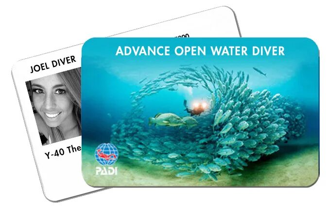 Open Water Diver сертификат. Padi OWD сертификат. Сертификат Padi open Water Diver. Дайвинг сертификат Padi.