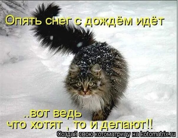 Дождь зимой картинки с надписями. Опять зима. и снова снег. вот и снег. дождь зимой приколы.