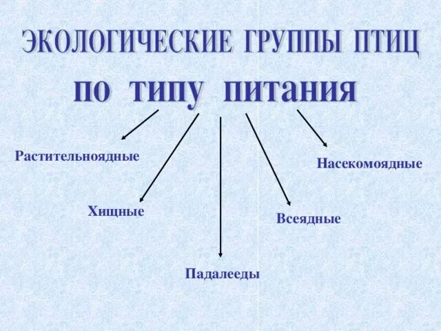 Какие экологические группы существуют