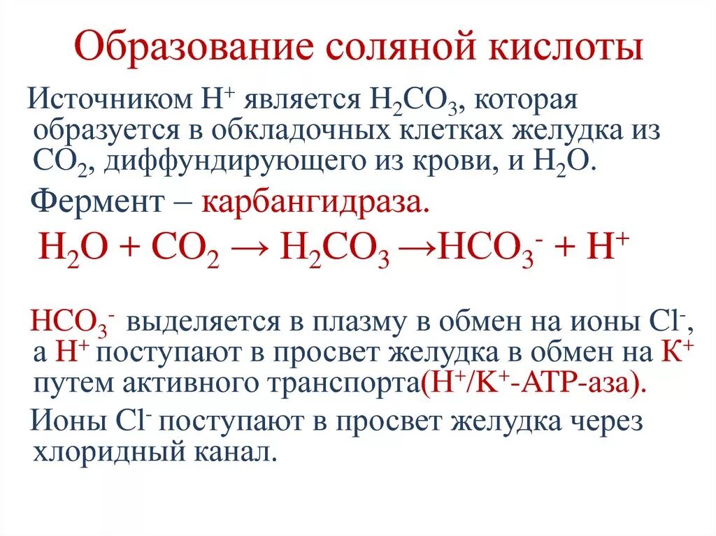 Реакция образования hcl. Механизм образования соляной кислоты. Механизм секреции соляной кислоты. Механизм образования соляной кислоты биохимия. Реакция образования соляной кислоты в желудке.
