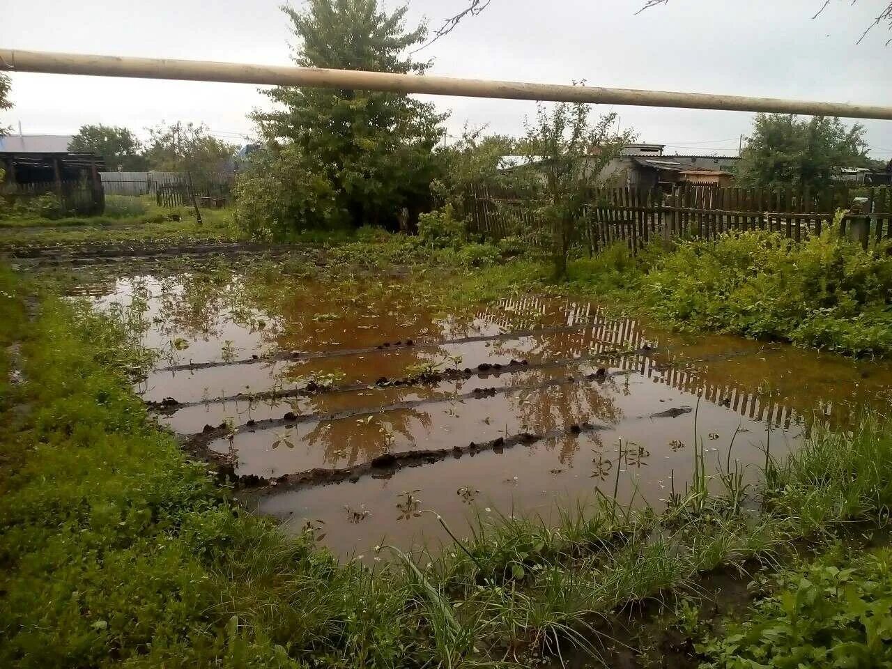 Какие участки подтоплены. Огород затоплен. Затопило огород. Подтопленный участок. Болотистый участок.