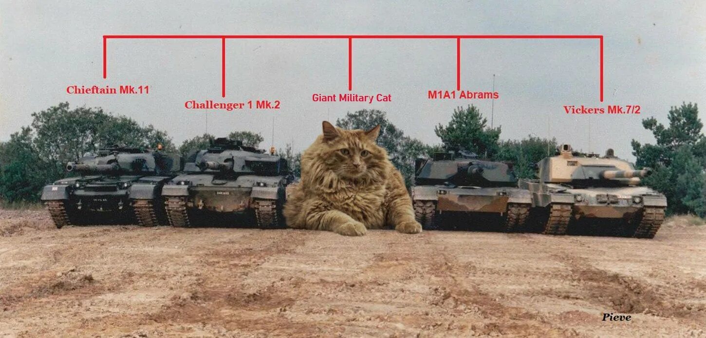 Еще один абрамс. Танковый тепловизор Абрамс. М1 Абрамс и Меркава. Танк Меркава и Абрамс. M1 Abrams и человек.