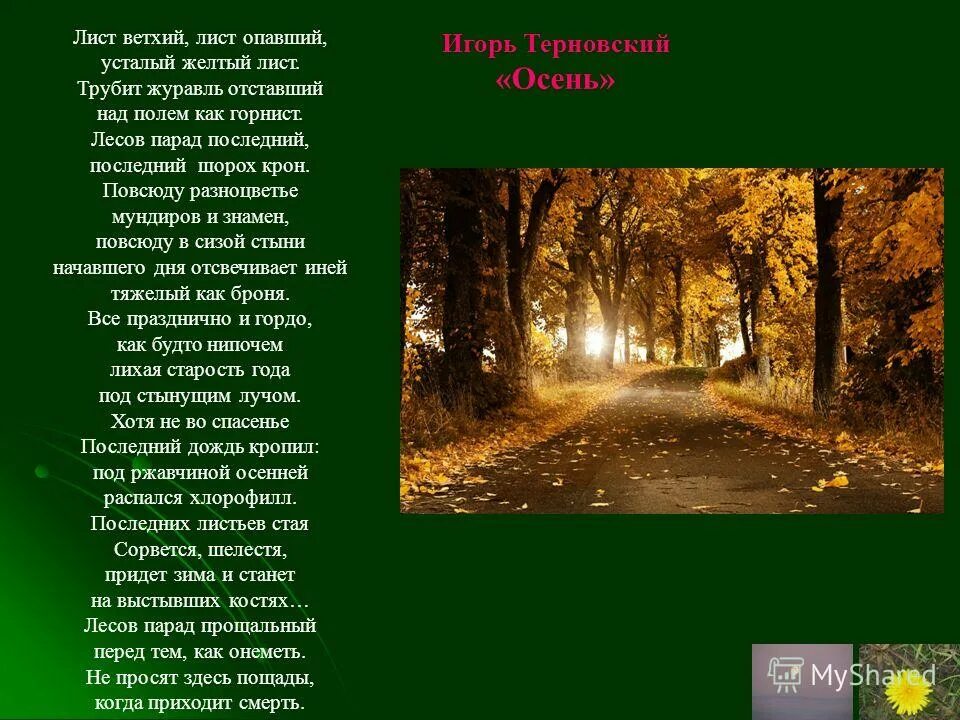 И близкий шорох свежего листа. Шорох свежего листа. шорох свежего листьев йё.