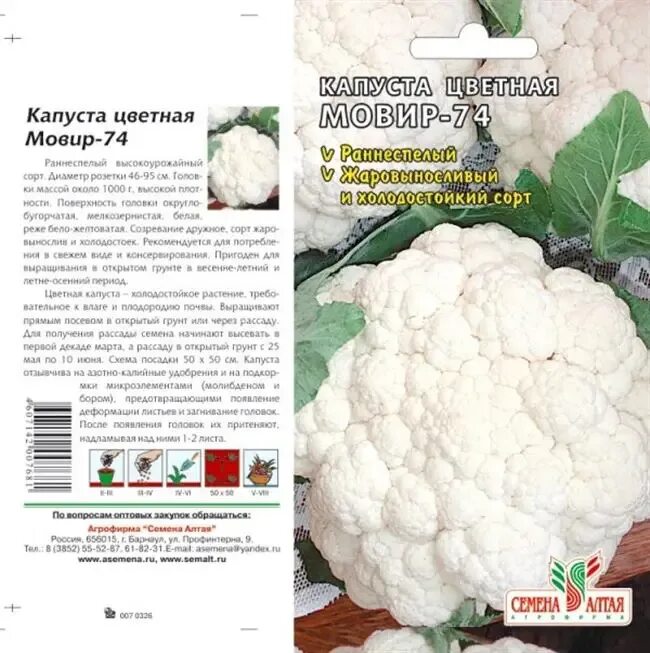 Сорт цветного капуста Мовир – 74. Капуста Мовир 74 описание. Капуста Мовир 74 описание сорта. Семена ранней цветной капусты.