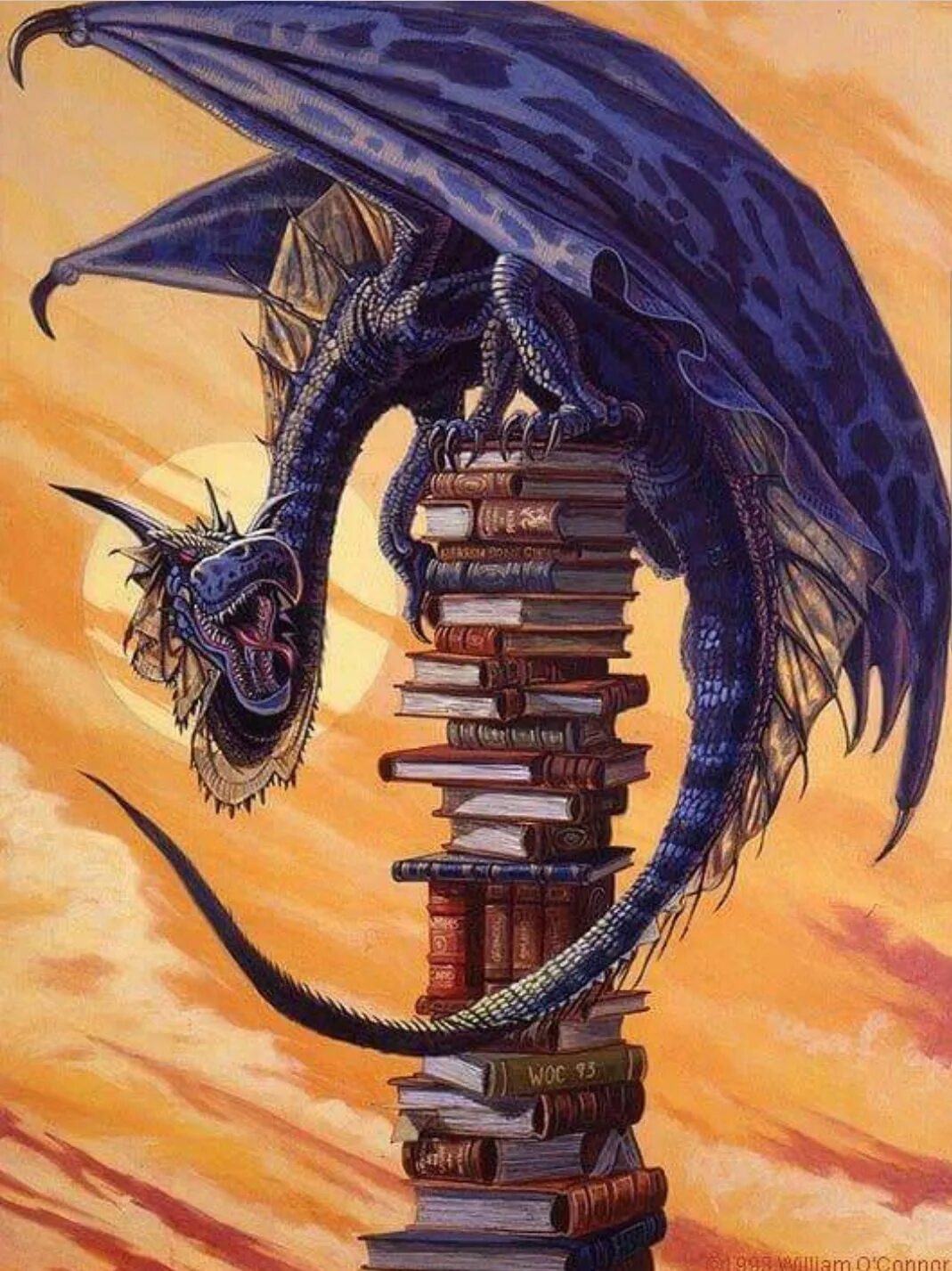 Read dragon. Башня дракона. Сказочный дракон. Мудрый дракон. Книжный дракон.