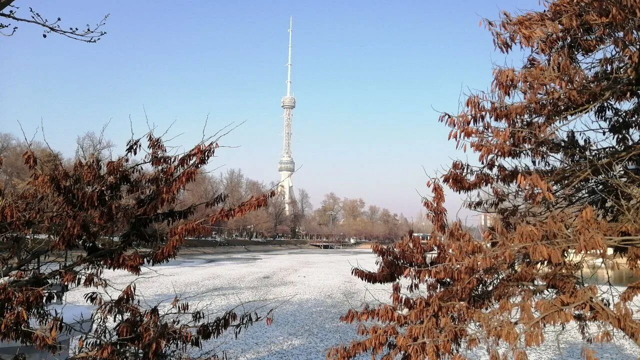 Ташкент погода на 10 дней 2024. Ташкент климат. Ташкент с воздуха. Температура в Ташкенте сейчас. Погодные изменения в природе на январь 2023.