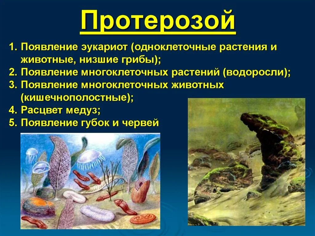 Архейская протерозойская палеозойская эра. Протерозойская эра периоды представители. протерозой эра жизнь растений таблица. протерозой эра кратко самое главное. протерозойская эра периоды животные.