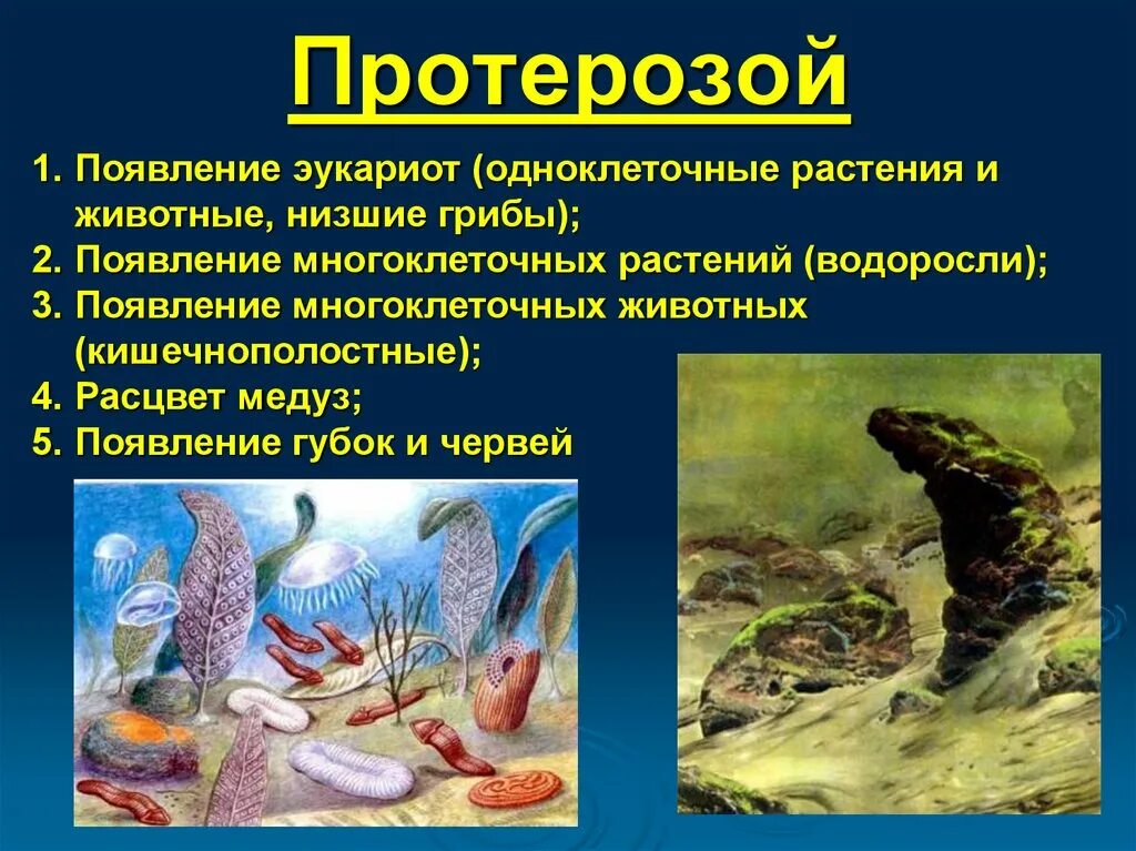 Жизнь на земле зародилась на суше. Периоды эпохи протерозой. Протерозойская Эра периоды представители. Протерозой Эра животные организмы. Протерозойская Эра Эра животные и растения.