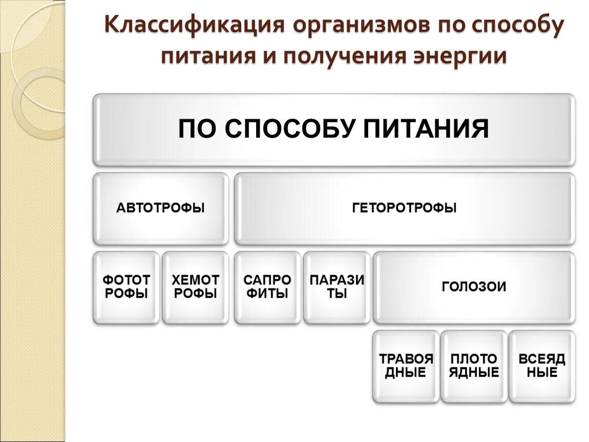 Составить классификацию выбранных организмов. Методы классификации организмов. Классификация по способу питания. Классификация организмов по питанию. Классификация организмов по способу питания.