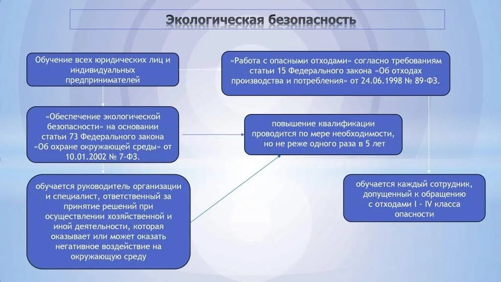 Обеспечение экологической безопасности относится к ведению. Экологическая безопасность на предприятии. Принципы экологической безопасности. Обеспечение безопасности окружающей среды. Экологическая безопасность на предприти.