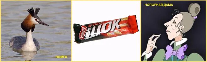 Чопорный правило написания. Чопорный значение. Значение слова чопорный. Значение слова чопорный. Значение слова чопорный.