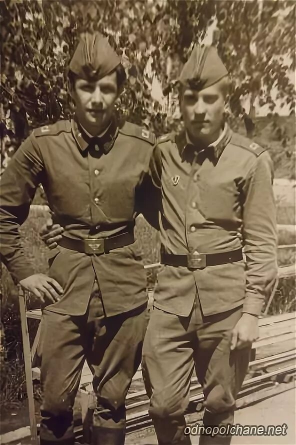 Ксаво алма ата 1980-1982. Военные сослуживцы. Найти сослуживцев без регистрации. Сангачалы азербайджан. Однополчане и сослуживцы.