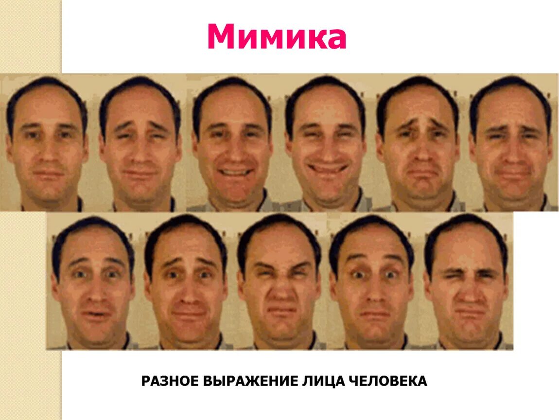 Что лицо получившее эту