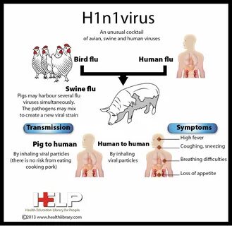 Human virus infections