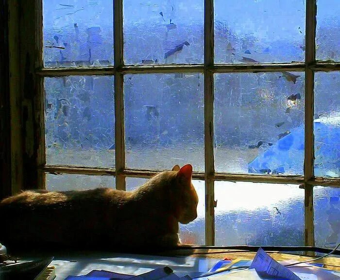 Что ты там за окном. Осень из окна. Утро окно. Уютного вечера. Вечер за окном.