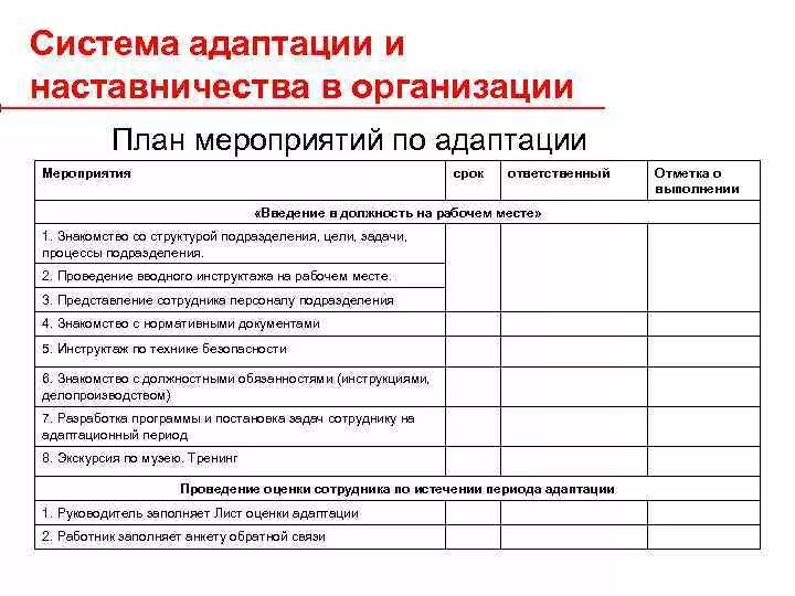 Программа адаптации нового сотрудника в организации пример таблица. Адаптация сотрудников в организации схема. Пример программы адаптации новых сотрудников. Программа адаптации нового сотрудника пример заполнения. Оценка испытательного срока