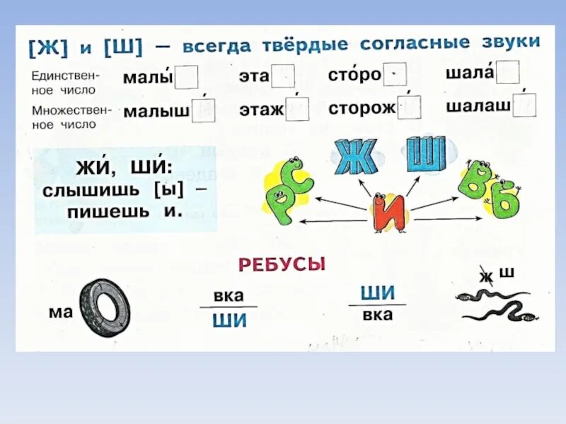 Правописание сочетаний жи ши. Звук и буква ш ж. Конспект звук и буква ж. Шипящие согласные звуки 1 класс задания.