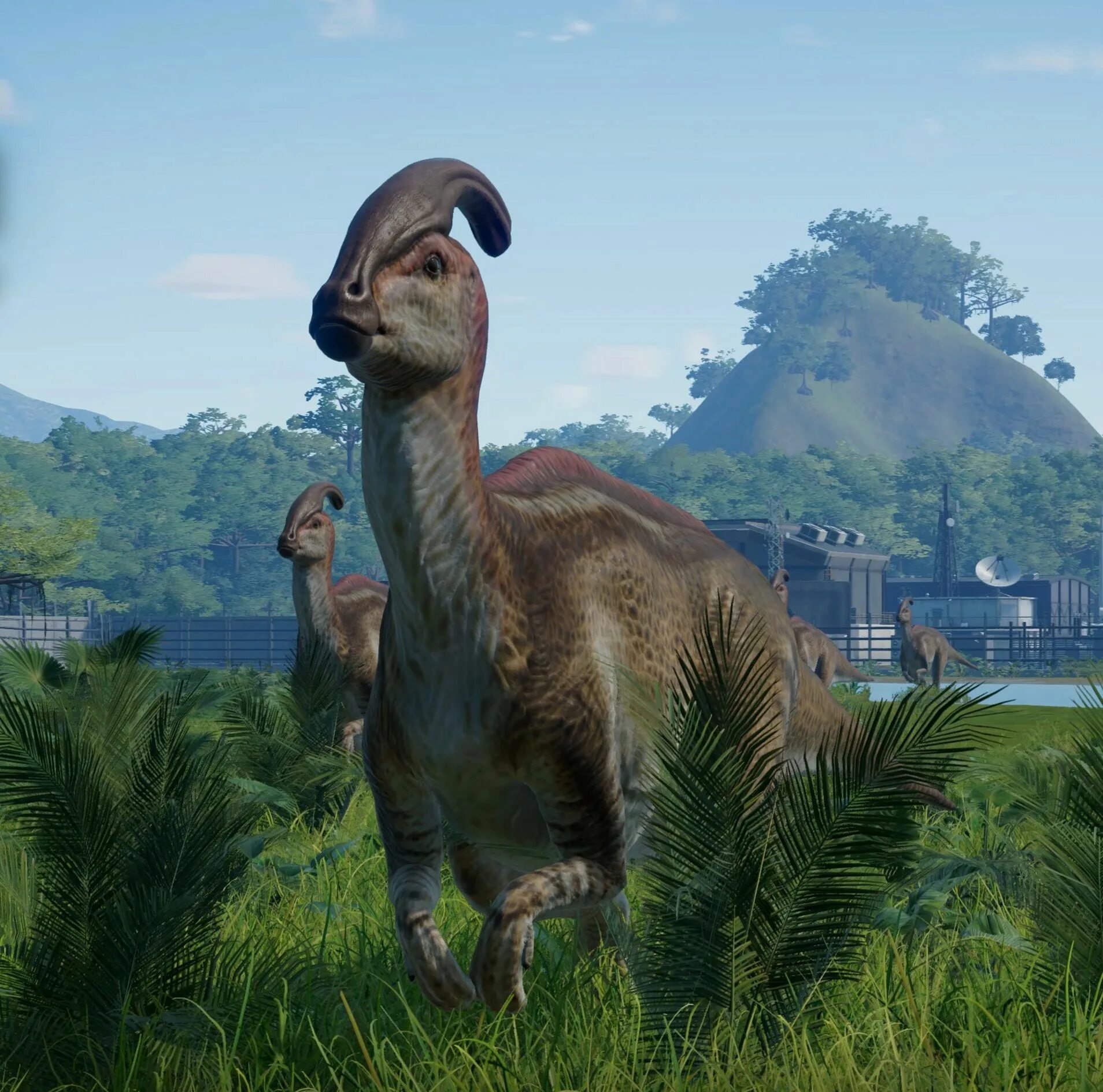 Парк динозавров Jurassic World Evolution. Jurassic World Parasaurolophus. Парк мир Юрского периода игра. Jurassic World Evolution Parasaurolophus.