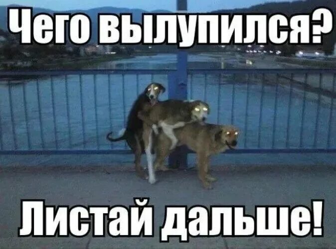 А там дальше. Листай дальше. листай дальше мем. картинка листай дальше. надпись листай дальше.