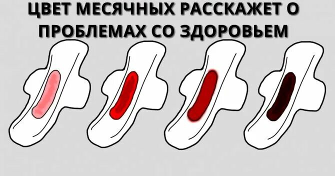 Секс Во Вренмя Месячных