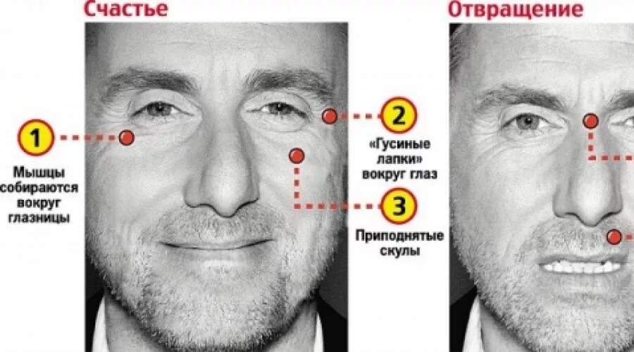 Мимика почему и