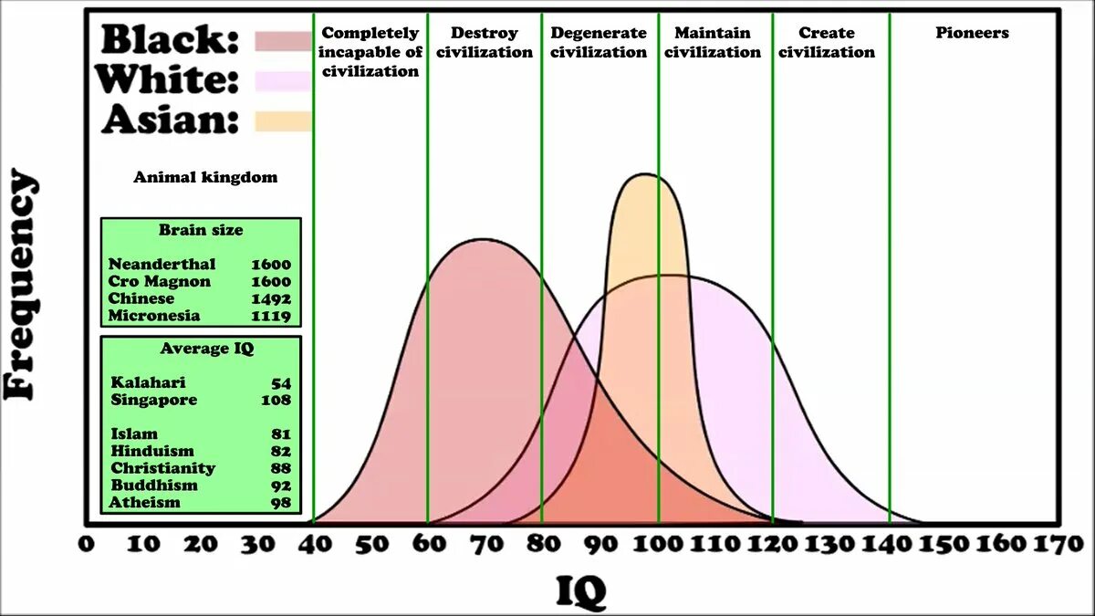 Уровень интеллекта по расам. Распределение IQ по расам. Связь интеллекта и расы. Коэффициент интеллекта распределение. Айкью у нормального человека взрослого