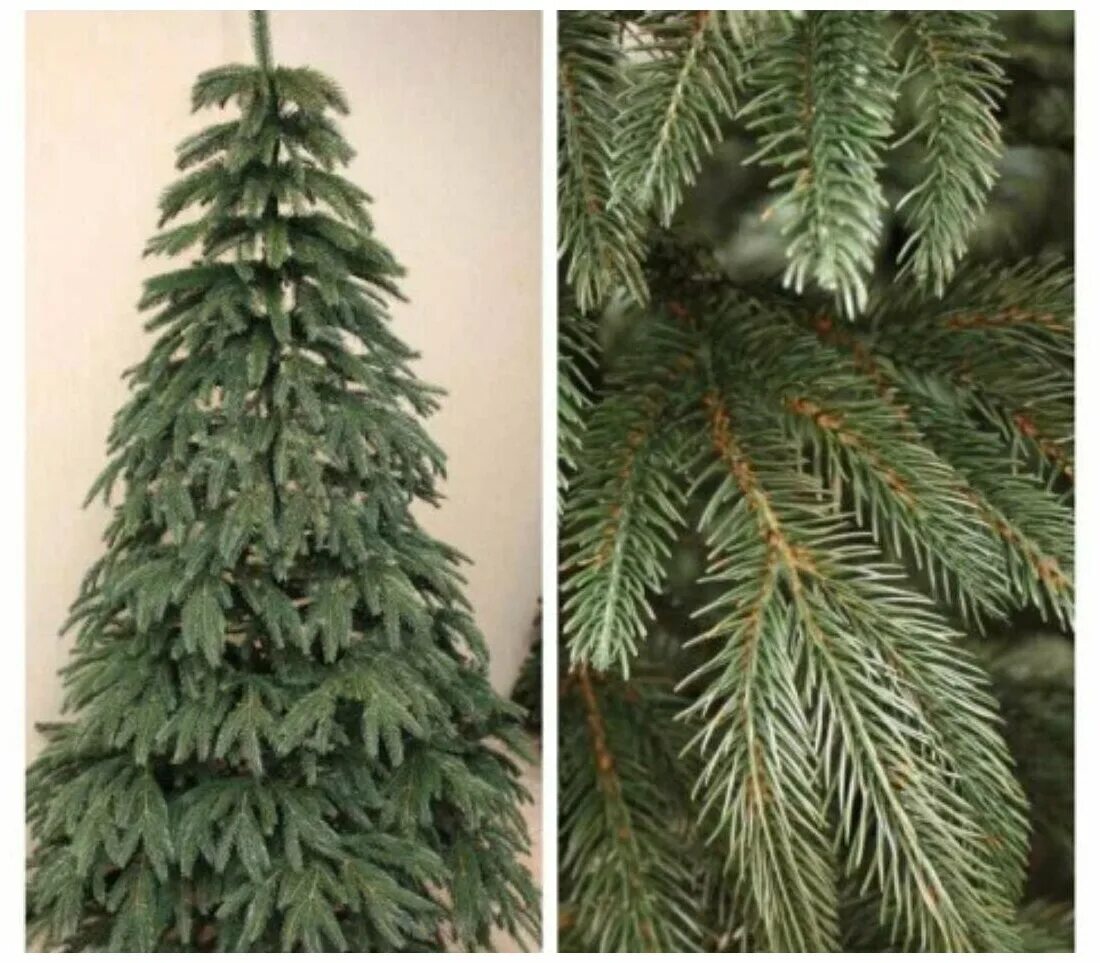 Сосна ель елка отличие. Ель пвх литая. Елка искусственная. Ель скандинавская морозко. Елка литая воронцовская 180см atrees.