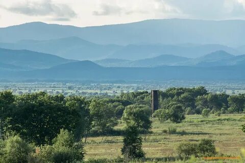 Без арсеньев
