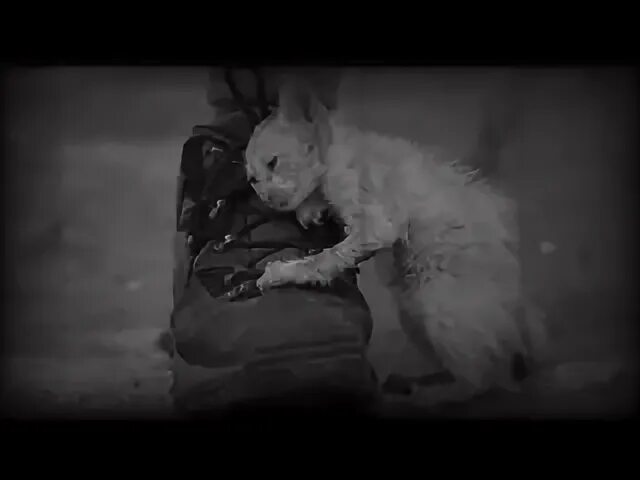 Плачущий мем. Видео грустный нейропрок. Грустные видео для монтажа. Грустные видео цитаты. Грустный вид.