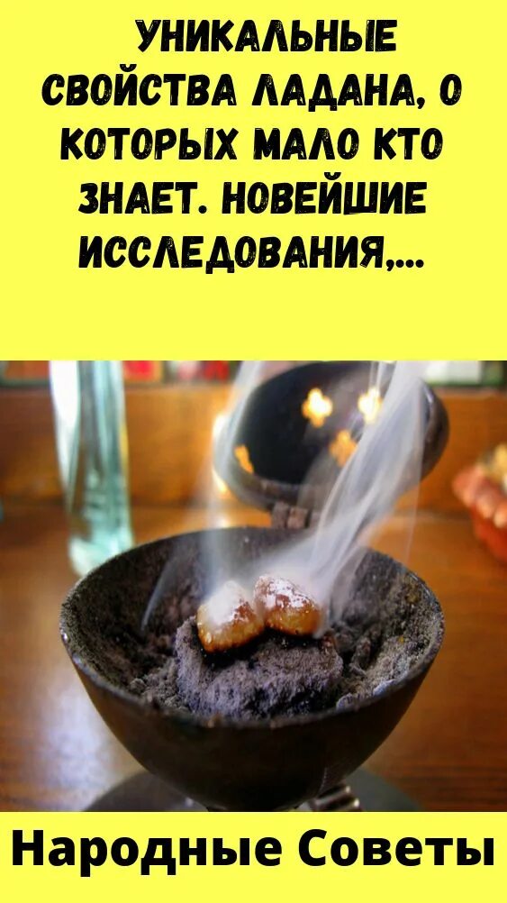 Ладан греческий мосхофимиама. Индийский ладан. Ладан свойства. Frankincense essential oil. Ладан свойства.
