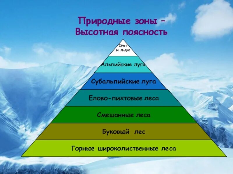 Высотная поясность кавказа 8 класс