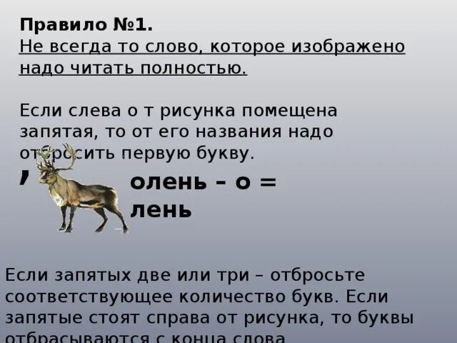 Предложение со словом олень 3 класс. Формы слова олень. Карибу и северный олень отличия. Как пишется слово олень. Картинки на букву олень.