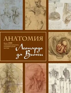 Анатомия жизни