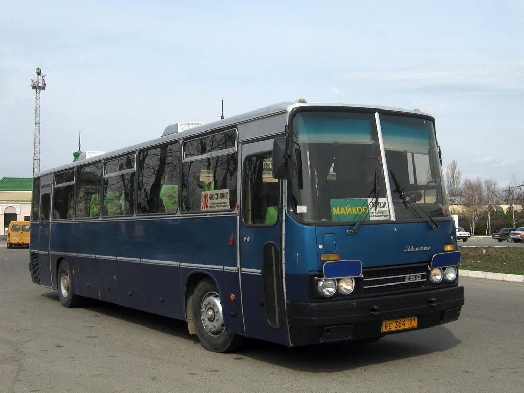 Нальчик черкесск автобус. Ikarus 250.95 синий. Икарус Майкоп. Икарус Майкоп Краснодар. Адыгея автобусы.