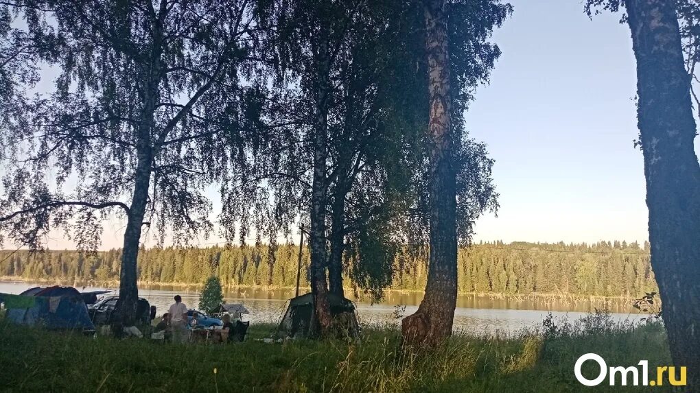 Озеро Данилово Муромцево. Данилово озеро в Новосибирской области. Озеро Изюк Омская область Муромцевский. Озеро Данилово Муромцевский район Омская область. Данилова озера омская