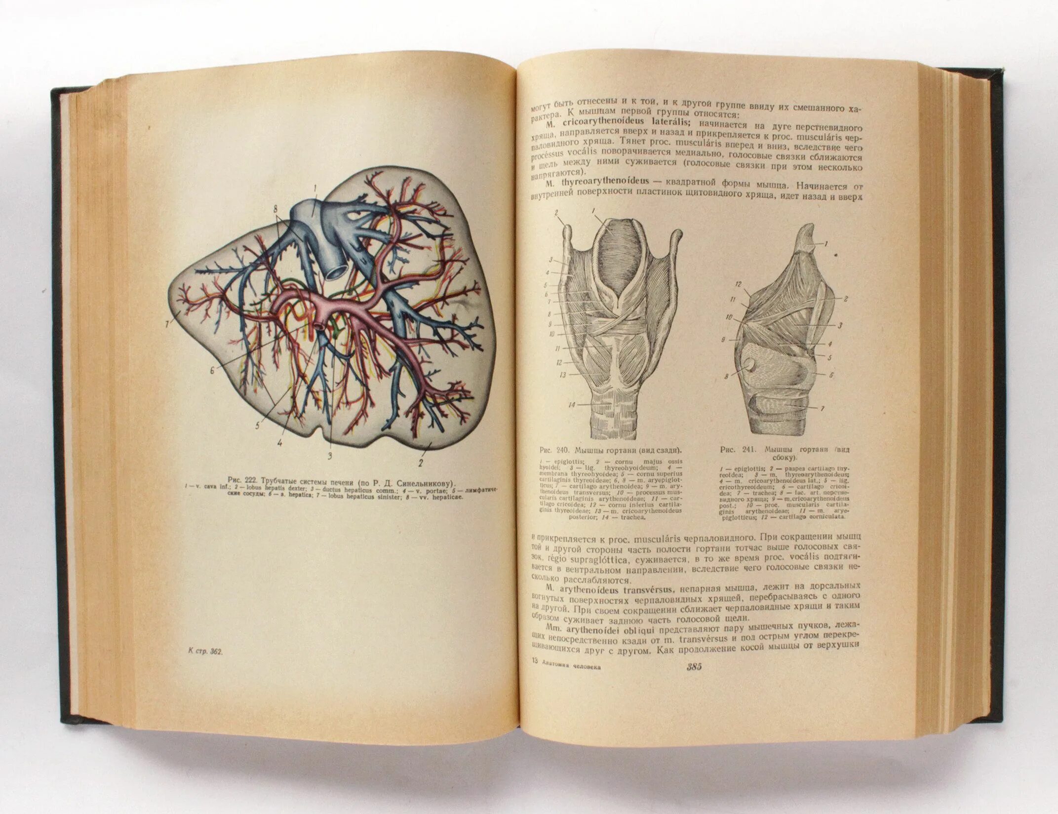 Учебник по анатомии. Старые книги по медицине. Учебник по анатомии человека. Анатомия книжка. Анатомия человека пособия