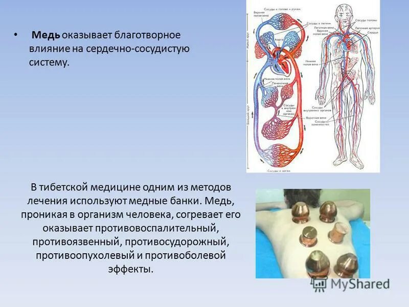 Применение меди в медицине. Применение меди в медицине картинки. Металлы в медицине. Применение меди в организме. Применение металлов в медицине