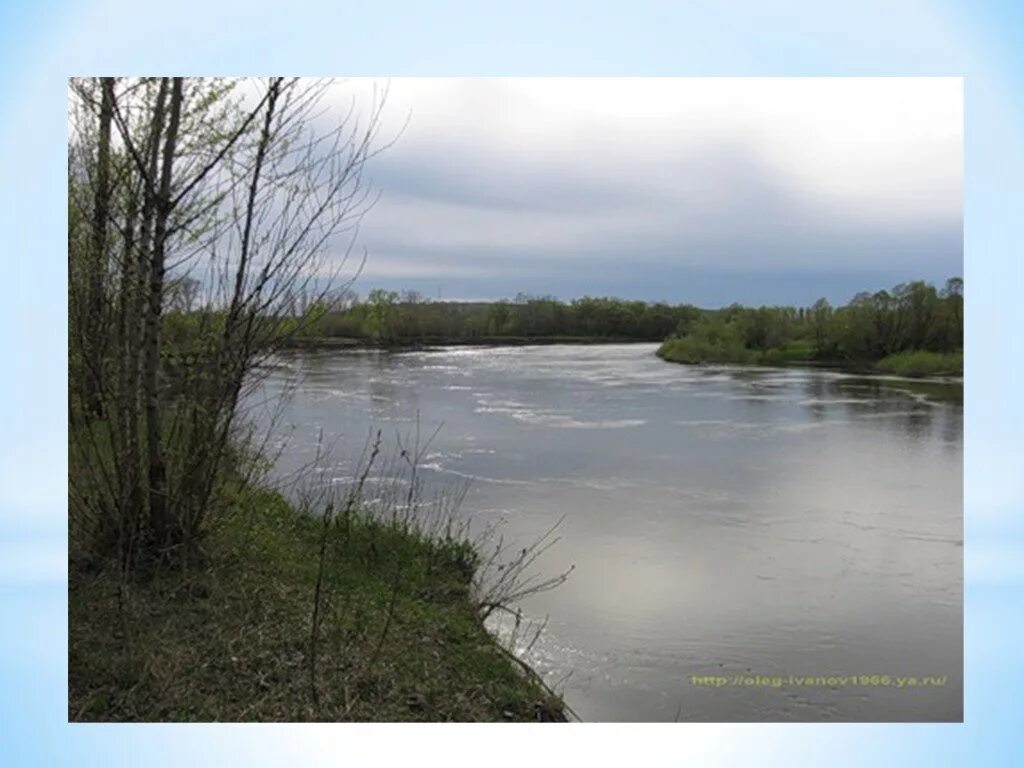 Жировские родники. Внутренние воды Воронежской области. Реки и озера Воронежской области. Гидрография Воронежской области. Среднее течение Дона.