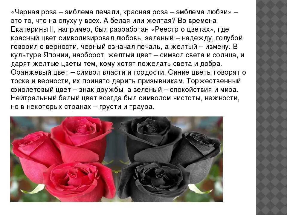 Букет цветов роз к чему снится. К чему снятся красные розы. Цвета роз смысл. Что означает цвет роз. Что значат розы во сне.