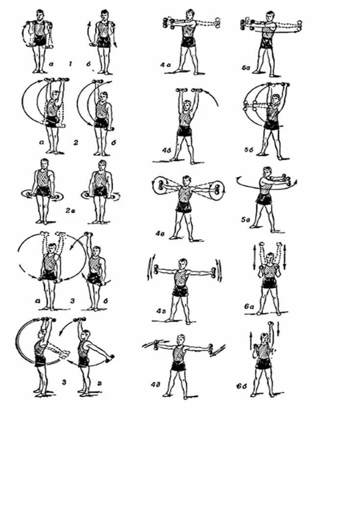 Атлетическая гимнастика комплекс силовых упражнений. Атлетическая гимнастика комплекс упражнений с гантелями. Атлетическая гимнастика комплекс упражнений с гантелями для мужчин. Комплекс упражнений с гантелями Шапошникова.