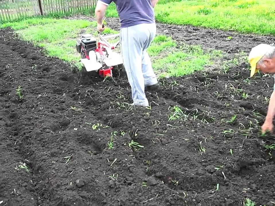 Пашим плугом под зиму