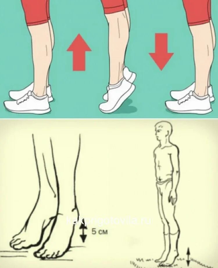 Виброгимнастика Микулина. Прыжки на пятках для лимфодренажа. Упражнение на носочках. Встать на носочки. Упражнения носочки