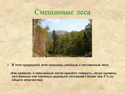 Краткая характеристика лесных зон 4 класс