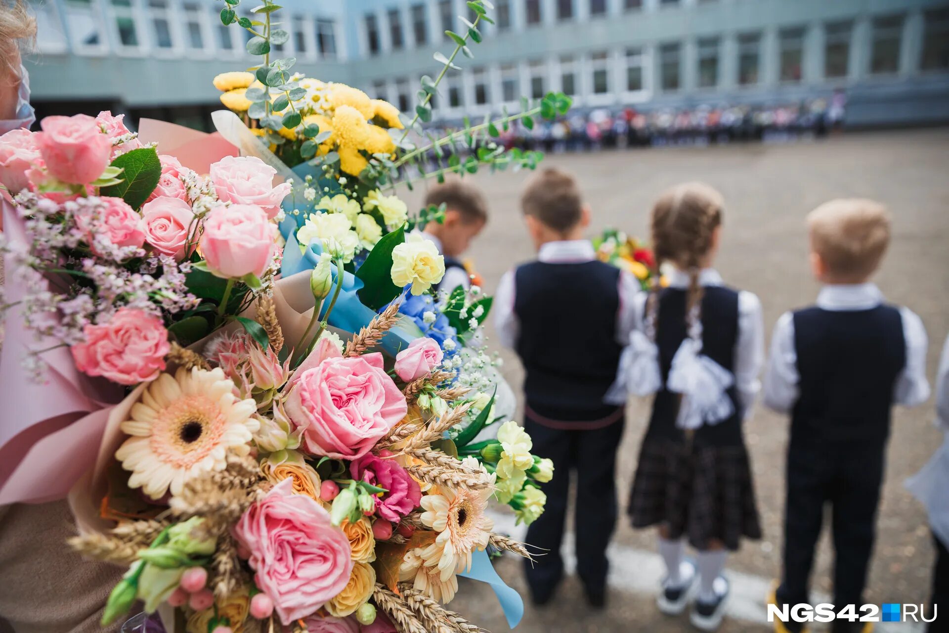 цвета сентября 2023. прилежный ученик. день знаний в нидерландах. букет «первое сентября». только пятое сентября.