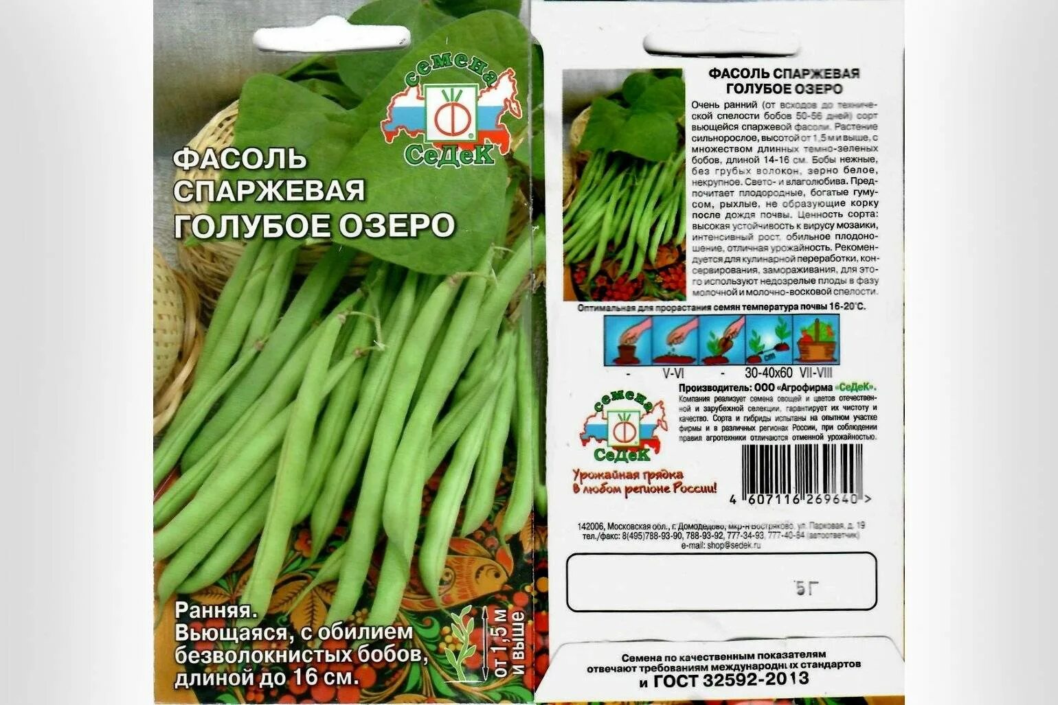 Фасоль открытого грунта. Семена седек фасоль спаржевая. спаржевая фасоль семена. фасоль стручковая спаржевая семена. фасоль стручковая кустовая семена.