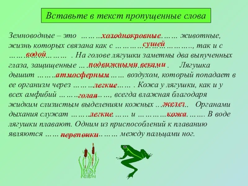 Вставьте в текст голосеменные растения пропущенные слова. Вставьте в текст пропущенные слова. Вставить пропущенные слова в текст. Вставьте пропущенные слова земноводные. Вставьте в текст земноводные.